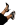 ستاتي